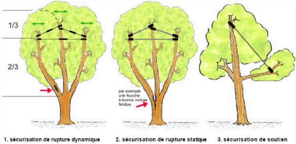 Exemple de types de haubans